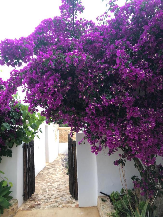 Can Bonet De Baix De Cas Micali Holiday home Santa Gertrudis (Ibiza)